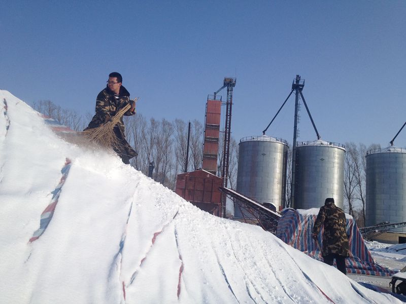 點擊瀏覽下一頁
